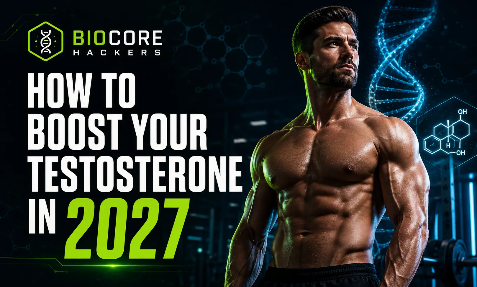 How to boost your testosterone in 2027 naturally – BioCore Hackers